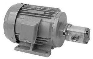 Daikin MFP100/1.7-2-1.5-10  MFP100 Series Motor Pump