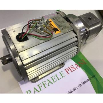 EMG India Greece ELEKTROMOTOR + REXROTH INNENZAHNRAD PUMPE /// DAS 90S 4-XJ53 + PGF2-22/013LN