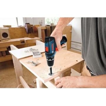 Drill Driver and Impact 12 Volt Lithium-Ion Cordless Electric 2 Tool Combo Kit