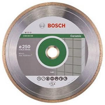 BOSCH, 2608602539, Disco diamantato standard per la ceramica, 250 x 30 e 25.40 x