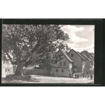 alte AK Kranichfeld, Ansicht der Linde vorm Baumbachhaus 1968