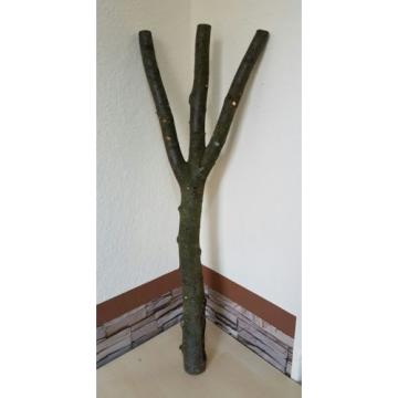 Baumstamm Linde verzweigt Ast Stamm Holz Skulptur Deko Terrarium Natur 85 cm