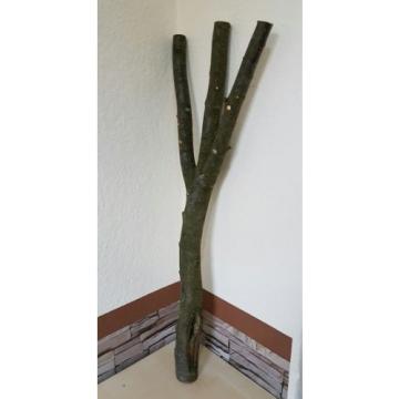 Baumstamm Linde verzweigt Ast Stamm Holz Skulptur Deko Terrarium Natur 85 cm
