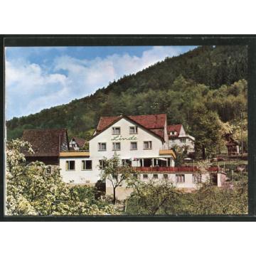 schöne AK Langenthal, Waldpartie mit Blick zum Gasthaus-Pension Zur Linde