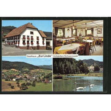 AK Hofstetten, Gasthaus zur Linde mit Gastraum, Panoramaansicht, Teichpartie