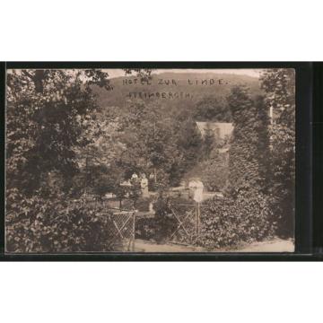 alte AK Steinbergen, Garten vom Hotel zur Linde 1912