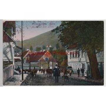 (107321) AK Wildemann im Harz, Markt mit historischer Linde, 1910er
