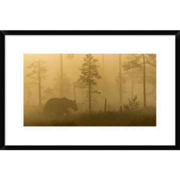 Global Gallery &#039;Morning Fog&#039; by Svein Ove Linde Framed Photographic Print