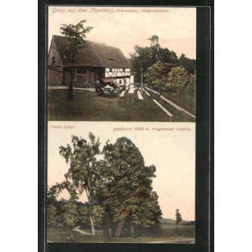 schöne AK Niederzwönitz, Gasthaus Jägerhaus, Bretmühle, Uralte Linde 1909