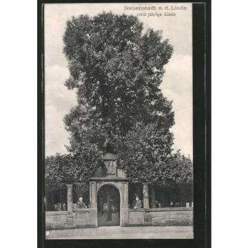 tolle AK Neuenstadt, 1000 jährige Linde, Eingangsportal zum Areal 1911