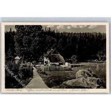 51292635 - Schierke am Brocken Haus mit alter Linde Mooks Villa Preissenkung