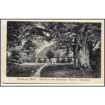Lüneburg Lüneburger Heide um 1920 Pfarrhaus 500 j. Linde Baum in Bispingen AK