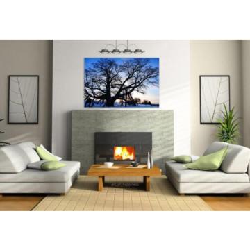 Stunning Poster Wall Art Decor Tree Linde Old Natural Monument 36x24 Inches