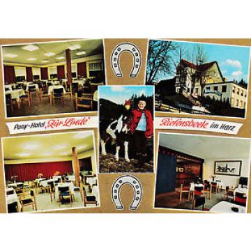 AK Riefensbeek Osterode Harz Pony-Hotel &#034;Zur Linde&#034;