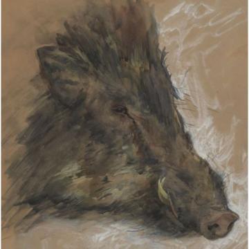 Hermann Linde * 1863: Indian wild boar. Watercolor. Dholpur / India 1894