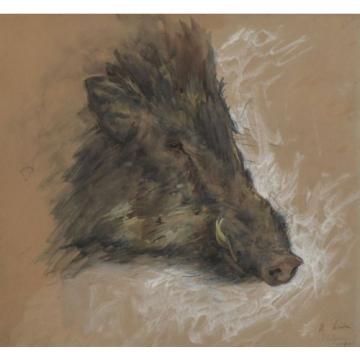 Hermann Linde * 1863: Indian wild boar. Watercolor. Dholpur / India 1894