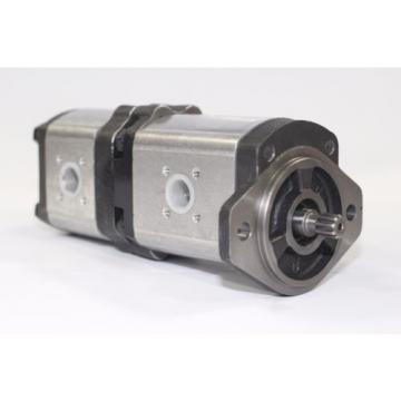 HEMA Gear Pump 1PN/1PN-281/119-AGS03XX