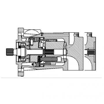 Dansion P080 series pump P080-02L1C-E1J-00
