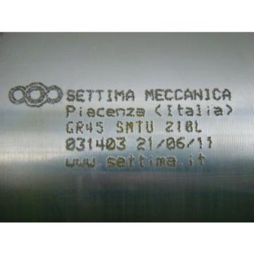 Settima Meccanica Elevator Hydraulic Screw Pump GR 45 SMTU 210L