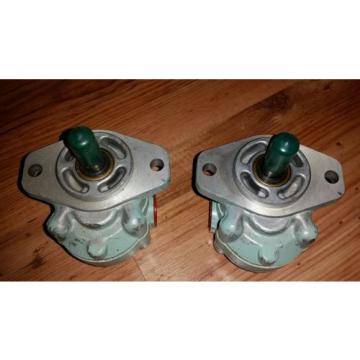 NEW OLD STOCK  GEAR PUMP D11AA1A