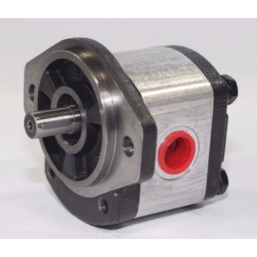 Hydraulic Gear Pump 1PN070CG1P13D3CNXS
