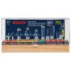 Bosch All-Purpose Professional Carbide-Tipped 10-Pc Router Bit Set RBS010 NEW
