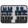 Bosch pro wood Daredevil spade bit set w pouch, quick drilling cutting (14 pc). #1 small image