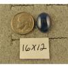 LINDE LINDY 16X12MM 17+  CTW CF BLUE STAR SAPPHIRE CREATED SS LEVERBACK EARRINGS #3 small image