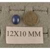 LINDE LINDY 12X10MM 9+  CTW CF BLUE STAR SAPPHIRE CREATED SS LEVERBACK EARRINGS #3 small image