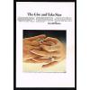 1967 Linde Star Jewelry His Hers Ring Photo Vintage Print Ad #1 small image