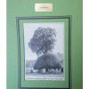 Die Linde in Geisenheim - Deutsche Bäume  -Grafik Alte Stiche um 1900    G 97 #3 small image
