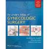 Te Linde&#039;s Atlas of Gynecologic Surgery by Geoffrey W. Cundiff 9781608310685 #1 small image