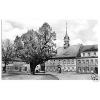 AK, Elstra Sa., Rathaus und 500 jährige Linde am Markt, 1960