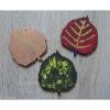 6 Linde Blätter aus Holz Herbst Laub Deko Basteln Malen Natur