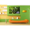 Stunning Poster Wall Art Decor Linde Tilia Tree Malvaceae Leaves 36x24 Inches #4 small image