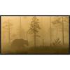Global Gallery &#039;Morning Fog&#039; by Svein Ove Linde Framed Photographic Print #5 small image