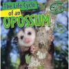 NEW The Life Cycle of an Opossum (Nature&#039;s Life Cycles) by Barbara M Linde #1 small image