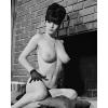 E410 TWO 8x10s BUSTY Pinups, JOYCE GIBSON &amp; LINDE FREDERIX! (NUDES) #2 small image