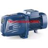 Self Priming JET Electric Water Pump JSW 1A-N 0,85Hp 400V Pedrollo Z1 #1 small image