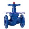 KSB 48875040 Boa-H Bellows-type globe valve with PTFE ring DN 32 Z1 #1 small image