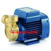 Peripheral Water Pump PQ 65-Bs 0,7Hp Brass body impeller 400V Pedrollo Z1