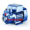 Electric Peripheral Water Pump PK 100 1,5Hp Brass impeller 400V Pedrollo Z1
