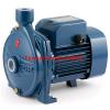 Electric Centrifugal Water CP Pump CPm170 1,5Hp Steel impeller 240V Pedrollo Z1 #1 small image