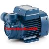 Electric Peripheral Water PQ Pump PQm100 1,5Hp Brass impeller 240 Pedrollo Z1 #1 small image
