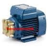 Electric Water Pump with peripheral impeller PV 55 0,25Hp 400V Pedrollo Z1 #1 small image