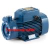Electric Water Pump with peripheral impeller PQ3000 3Hp 400V Pedrollo Z1 #1 small image
