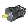QT53-40F-A India QT Series Gear Pump #1 small image