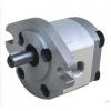 HGP-1A India Series Gear Pump #1 small image