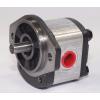 Hydraulic Gear Pump 1PN055CG1P13C3CNXS #1 small image