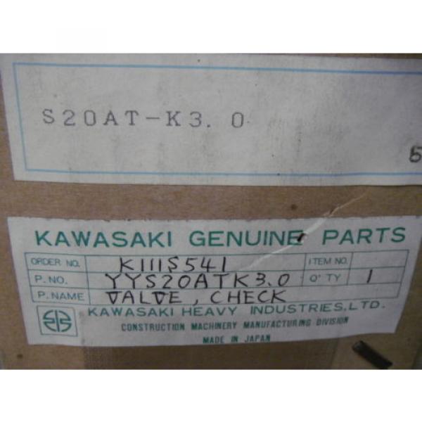 Kawasaki China USA YYS20ATK3.0 Rexroth S20AT-K3.0 Steel Check Valve #6 image